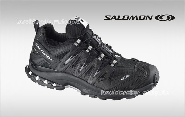 Salomon - XA Pro 3D 2 GTX W - black