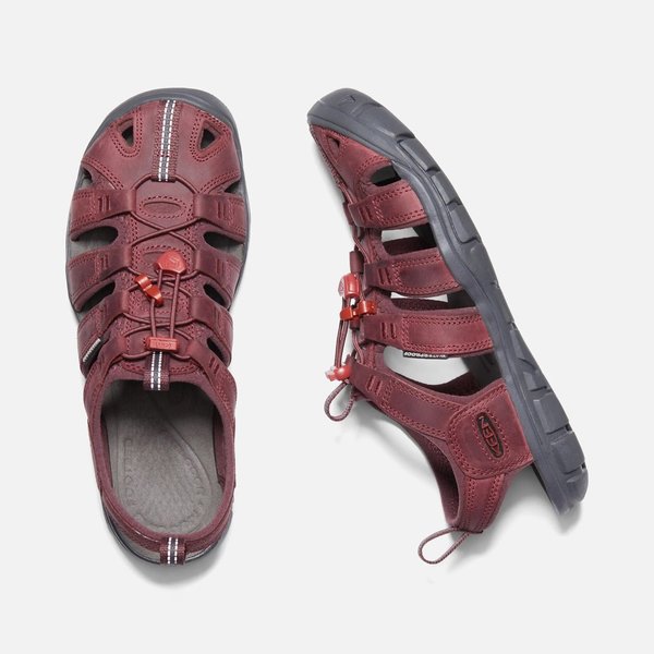Keen - Clearwater CNX W - wine red dahlia